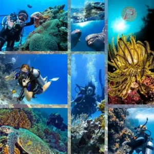 Scuba diving trip in Hurghada with Egypt Pharaohs Tours