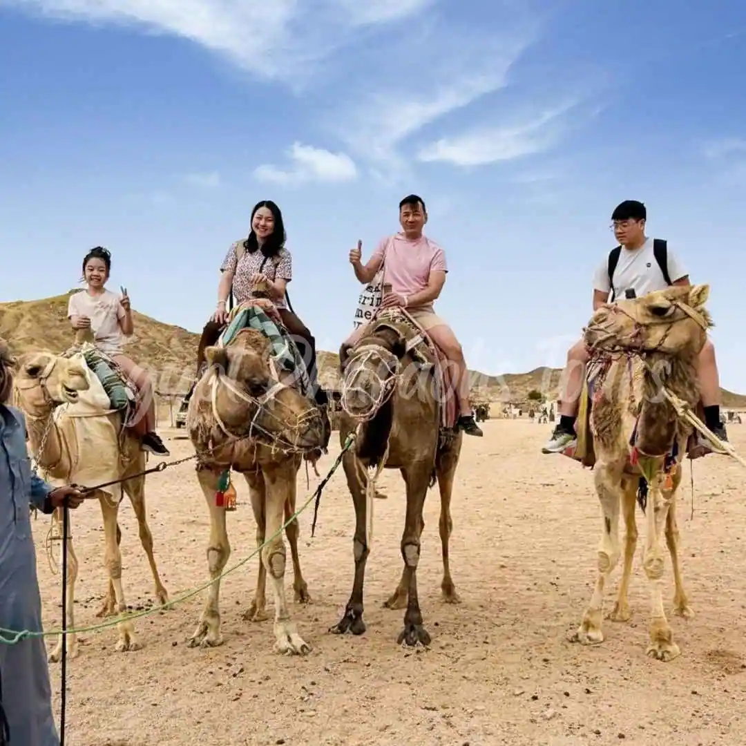 Tourists experiencing a traditional camel ride trek at a Bedouin village in Hurghada