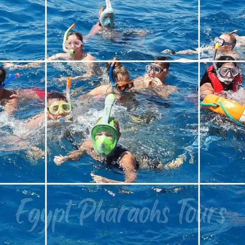 Snorkeler swimming near a pod of wild spinner dolphins in crystal clear waters at Dolphin House reef Hurghada