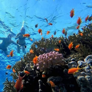 Sharm El Naga Snorkeling Trip from Hurghada