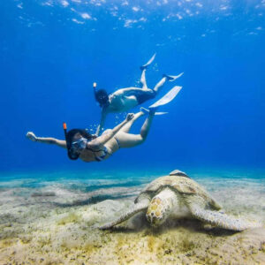 Abu Dabbab trip from Hurghada to discover a vibrant underwater world.