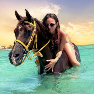 Hurghada Horseback Riding on The Beach and Swimming with Horses