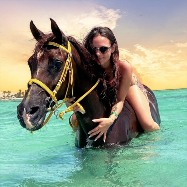 Hurghada Horseback Riding on The Beach and Swimming with Horses