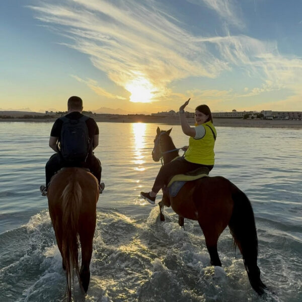 Hurghada Horseback Riding on The Beach and Swimming with Horses