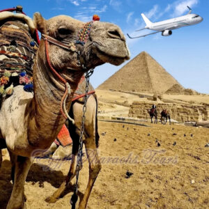 hurghada day trip to cairo by plane with transfers