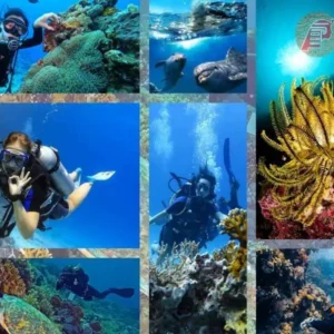 Scuba diving trip in Hurghada with Egypt Pharaohs Tours